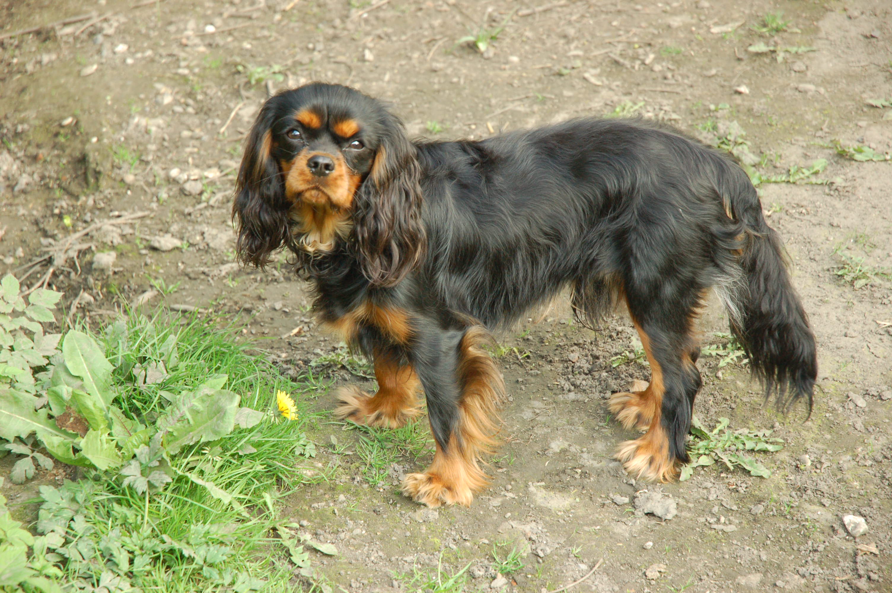 Marly Des Sentiers du Perche
